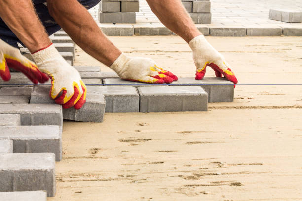 Best Driveway Paving Contractor  in South Barrington, IL