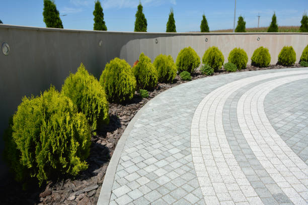 Best Decorative Driveway Pavers  in South Barrington, IL